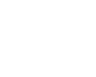 Speedy repair